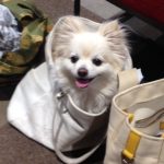 狛江駅徒歩2分 女性専用加圧トレーニング RockHeart: