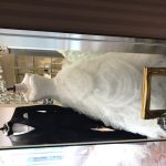 狛江駅徒歩2分 女性専用加圧トレーニング RockHeart: