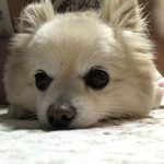 狛江駅徒歩2分 女性専用加圧トレーニング RockHeart: